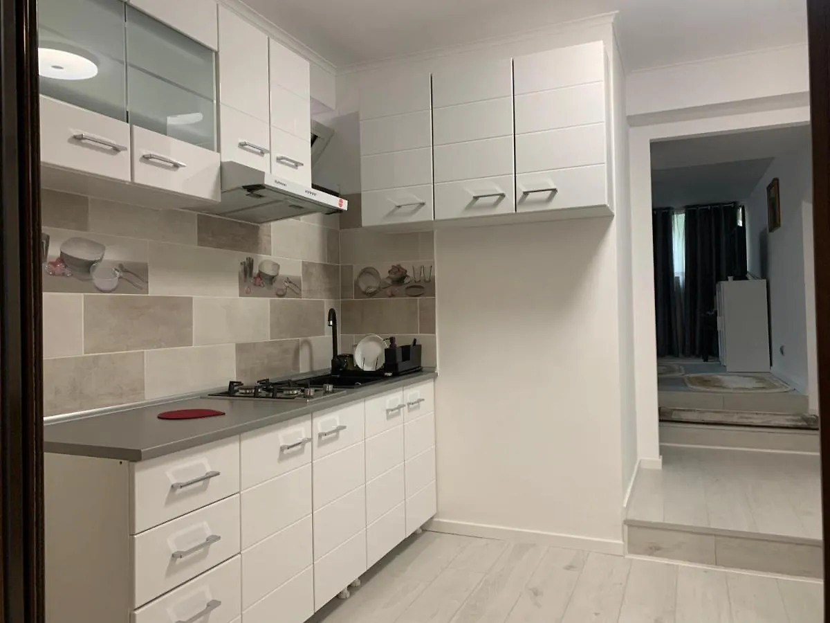 Daire City Center Villa Apartament Bükreş Romanya