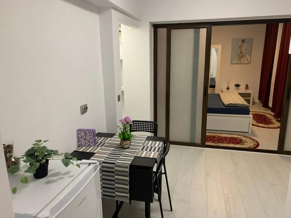 City Center Villa Apartament Bükreş Romanya
